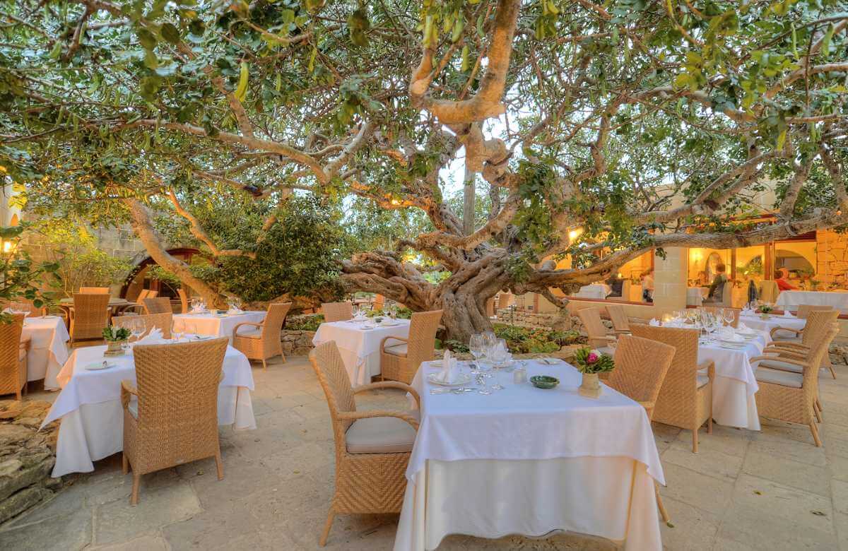 Enticingly Mediterranean Gastronomy