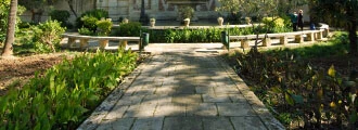 San Anton